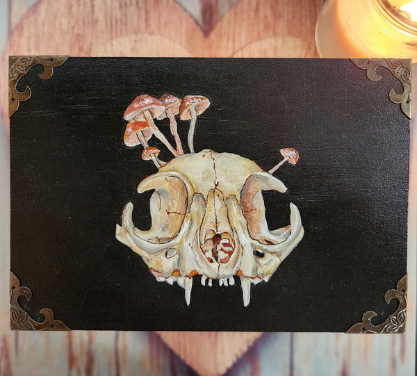 Cat skull box