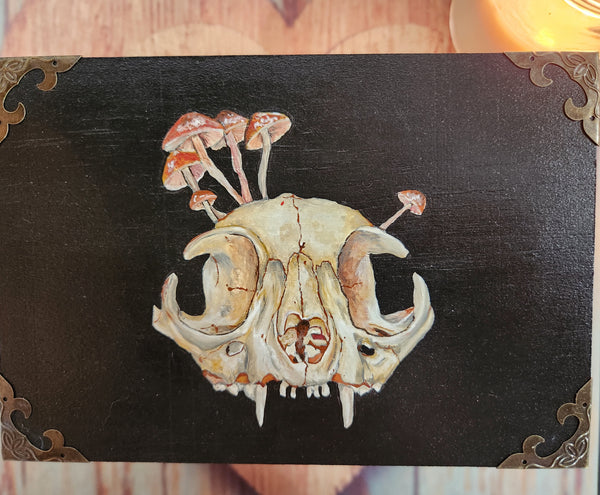 Cat skull box