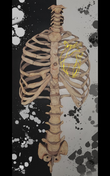 Rib Cage Print -16X20