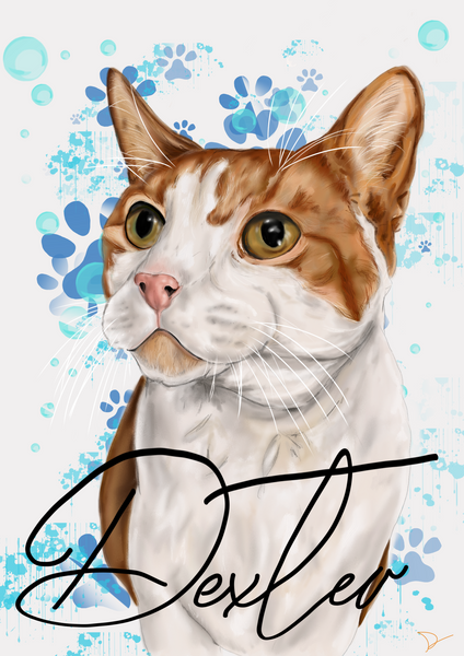 Digital Pet Portraits