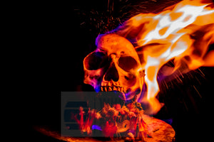 Flaming skull and Flowers