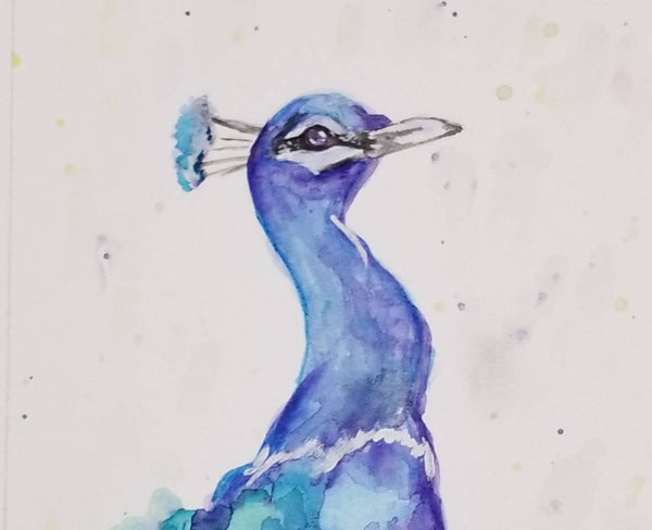 Peacock full bodywatercolor