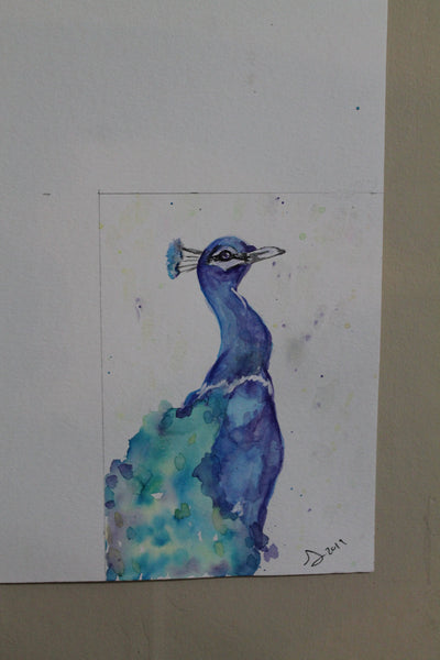 Peacock full bodywatercolor