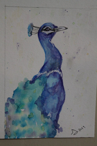 Peacock full bodywatercolor