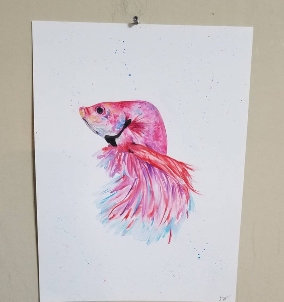 Watercolor pink beta fish