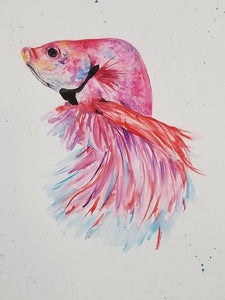 Watercolor pink beta fish