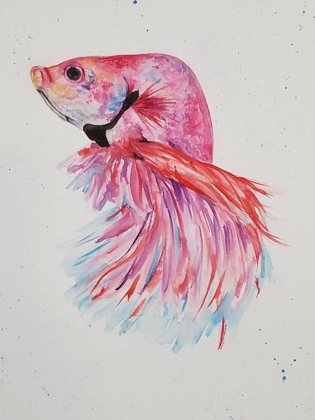 Watercolor pink beta fish