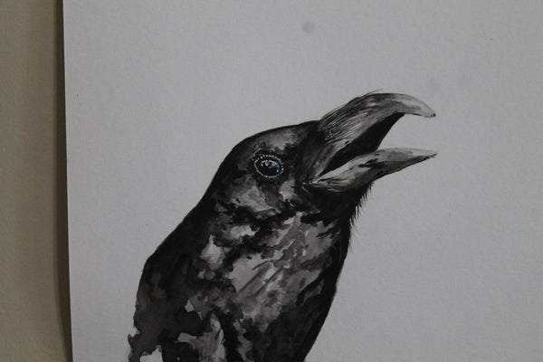 Crow Open Mouth Watercolor