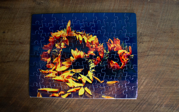 Photographed puzzles