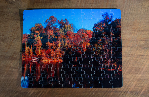 Photographed puzzles